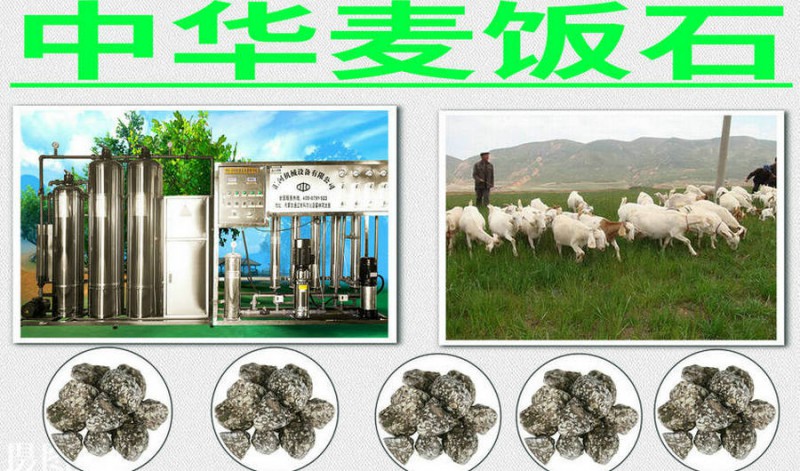 長春中華麥飯石反滲透純凈水設備改變水質(zhì)增強礦物質(zhì)