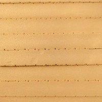 河間金色保溫建材  6公分B1擠塑板