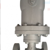 日本宮脅浮球式疏水閥 進(jìn)口G15N蒸汽疏水閥