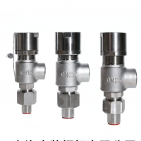 A42Y-100型全啟式超高壓安全閥 廠家安全閥