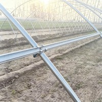 Greenhouse Fixing Clip